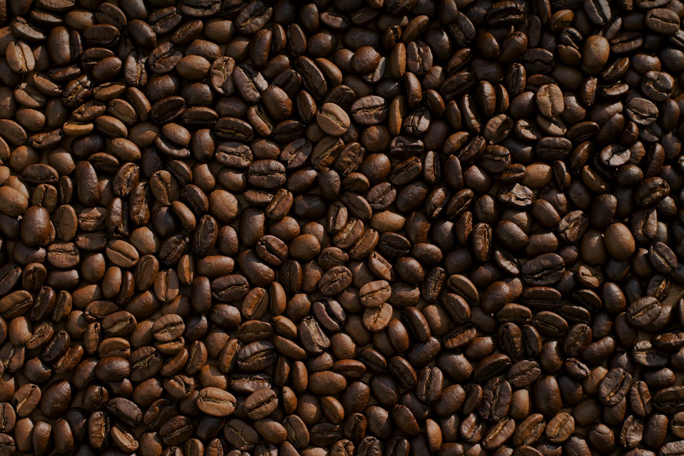 A close-up of freshly roasted coffee beans